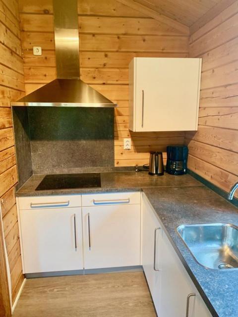 2 Bedroom Fins Chalet Gramsbergen Bagian luar foto